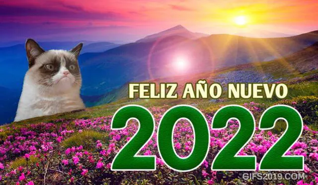 Los mejores memes para Año Nuevo 2022