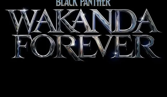 El 10 de noviembre se estrenará en Argentina la nueva película de Black Panther. Foto: Disney Latino