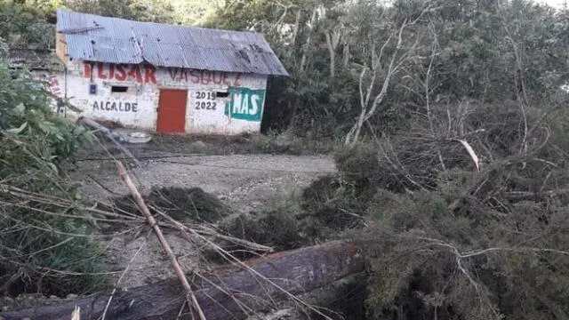 Vientos huracanados arrasaron con árboles en Cujillo. Foto: Canal Digital Cutervo.