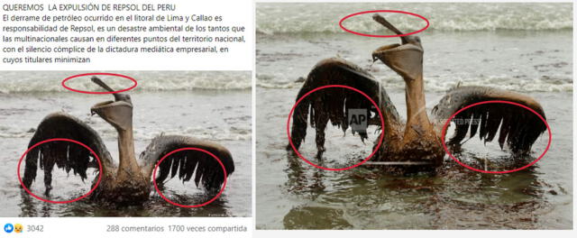 Comparación. A la derecha se muestra imagen del post viral; en tanto, a la izquierda, la imagen de AP. Foto: composición/difusión