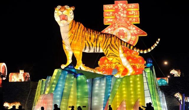 El Año del Tigre inicia este martes 1 de febrero de 2022. Foto: AFP