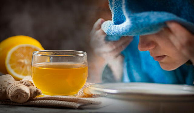  El limón, el jengibre y el eucalipto son algunos de los ingredientes más efectivos para hacer remedios contra la gripe. Foto: composición de Jazmín Ceras / La República   