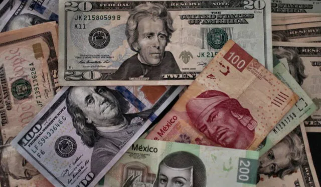  Conoce todos los detalles del precio del dólar en México hoy, 10 de enero. Foto: AFP   