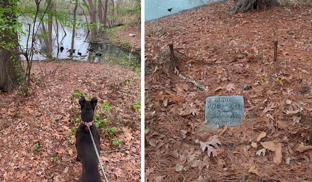 Una joven persiguió a su mascota durante su paseo, sin imaginar que iba a toparse con una piedra que llevaba una inscripción tapada por unas hojas. Foto: Zach Medlin