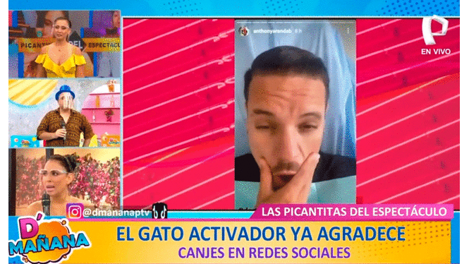 Karla Tarazona y ‘Metiche’ criticaron los nuevos 'arreglitos' del chico reality Anthony Aranda. Foto: captura de Panamericana TV