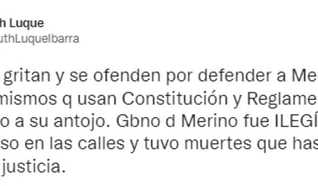 Mensaje de Ruth Luque tras cuestionar en debate de moción de vacancia el gobierno de facto de Manuel Merino. Foto: captura Twitter