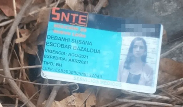 La identificación de Debanhi Escobar fue encontrada cerca de los Condominios Constitución, lugar que ya fue investigado por las autoridades semanas atrás. Foto: ABC Noticias