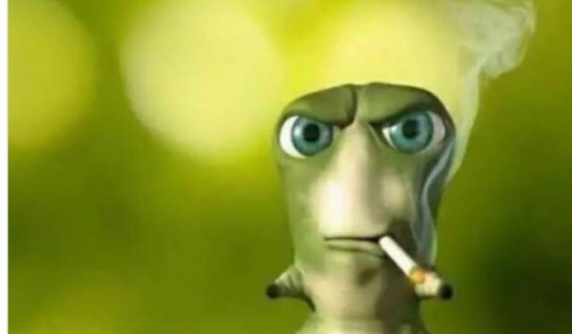 Los más divertidos memes de la final del Miss Perú 2022. Foto: Twitter