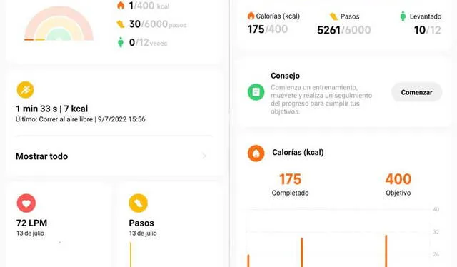 Estadísticas de la app Mi Fitness. Foto: captura LR
