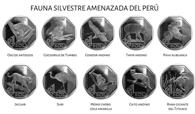El Banco Central de Reserva lanzó 10 monedas alusivas a la fauna silvestre del Perú. Foto: Colecciones Cheveres