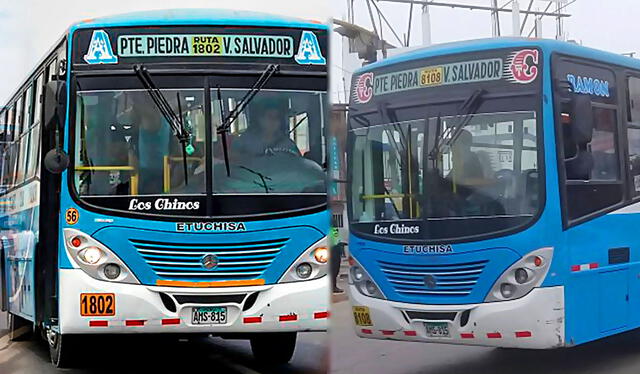 Los Chinos, buses muy populares en Lima Metropolitana. Foto: composición LR / archivo / Leonardo Saturno  