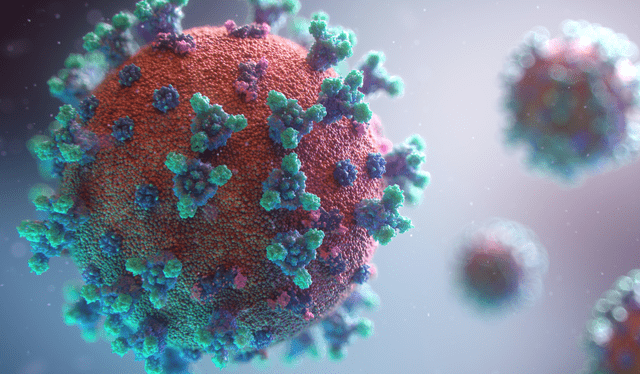 Cada cierto tiempo, el coronavirus tiene una nueva variante. Foto: Unplash