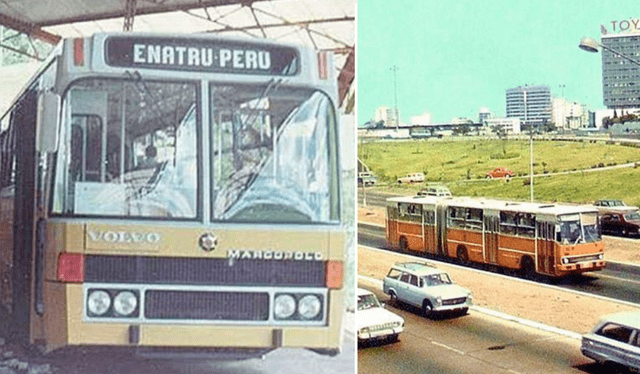 Los buses Ikarus contaban con un total de 52 paraderos y más de 1.000 vehículos. Foto: composición LR /Pinterest/ Lima Antigua