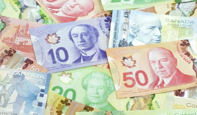 El dólar canadiense es la moneda oficial de Canadá. Foto: Hormigatv