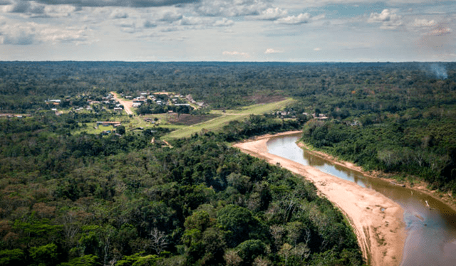  La modificación de la Ley Forestal y de Fauna Silvestre significaría un riesgo para la amazonía peruana. Foto: SPDA    