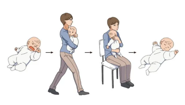 La técnica más eficaz para calmar el llanto de un bebé se logra cuando la madre lleva al menor en brazos y hace una caminata durante cinco minutos. Foto: Current Biology / Ohmura et. al (2022)