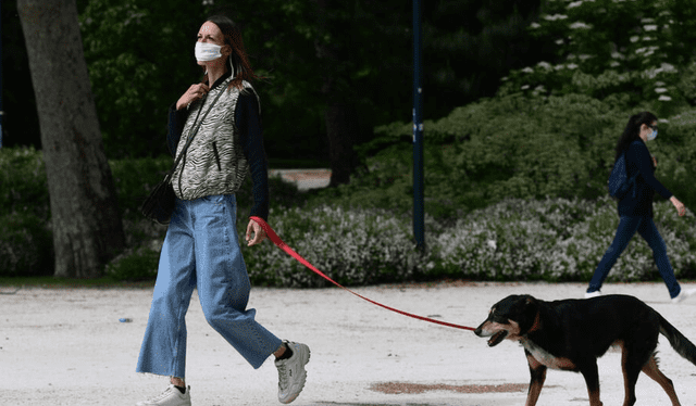 Conoce la razón por la que debes sacar a pasear a tu perro. Foto: AFP