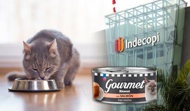 Resolución ha sido apelada por Rinti S.A. y será la Sala Especializada en Protección al Consumidor la que determinará en segunda instancia su responsabilidad. Foto: composición LR/Indecopi/pixabay Resolución ha sido apelada por Rinti S.A. y será la Sala Especializada en Protección al Consumidor la que determinará en segunda instancia su responsabilidad. Foto: composición LR/Indecopi/pixabay