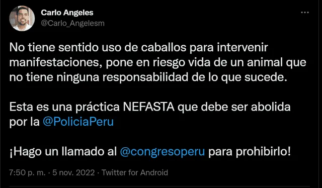 El regidor por Lima Metropolitana Carlo Ángeles se pronunció en contra del uso de caballos para reprimir a manifestaciones. Foto: Carlo Ángeles