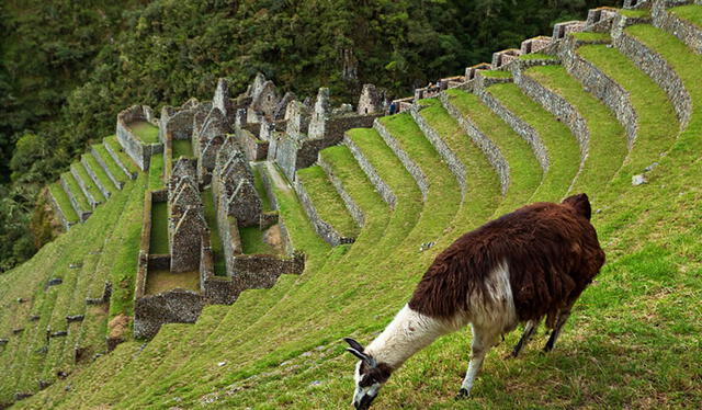  Objetivo es incentivar el turismo nacional y llevar a más visitantes a la ciudadela inca. Foto: difusión   