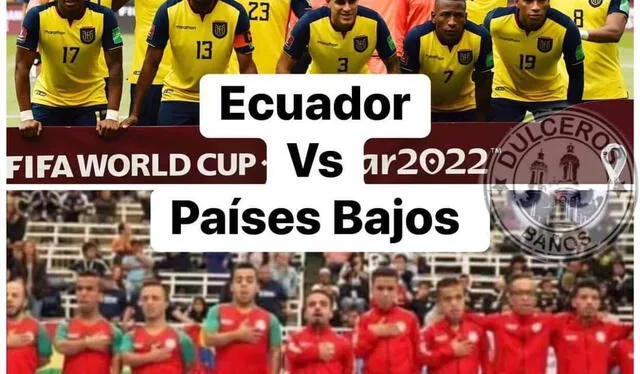 Memes Países Bajos vs. Ecuador. Foto: Twitter