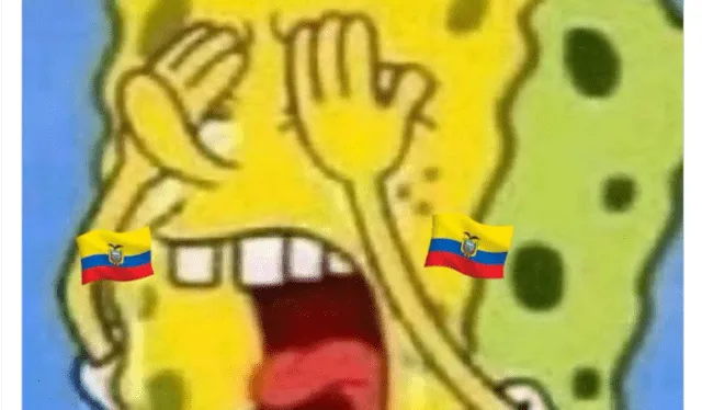 Memes Países Bajos vs. Ecuador. Foto: Twitter