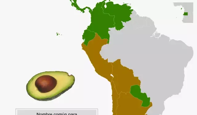 Distribución geográfica según el término preferido para el fruto de la palta o aguacate. Foto: México desconocido