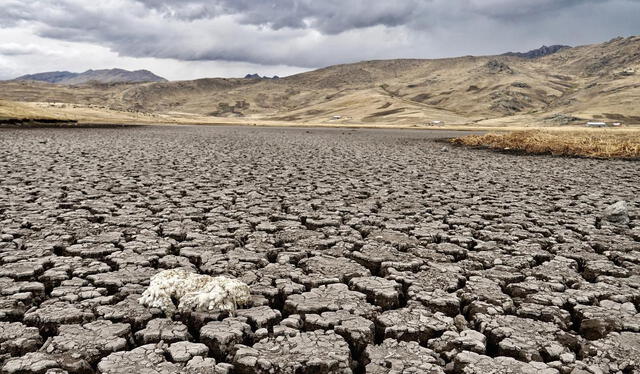 Una sequía tan intensa no se presentaba en el Perú hacía por lo menos 58 años. Foto: archivo La República