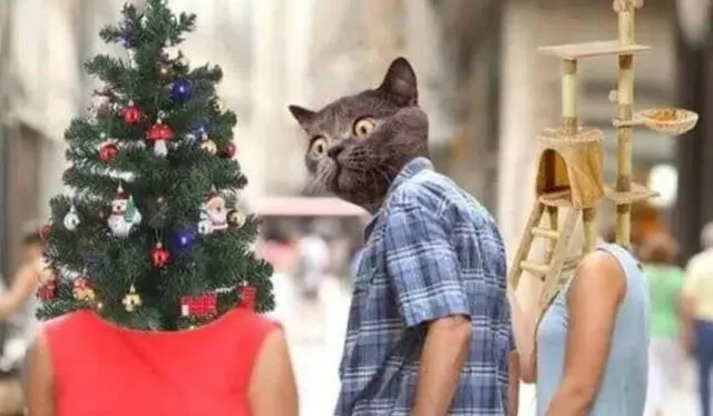 Los memes más divertidos de la Navidad 2022. Foto: difusión