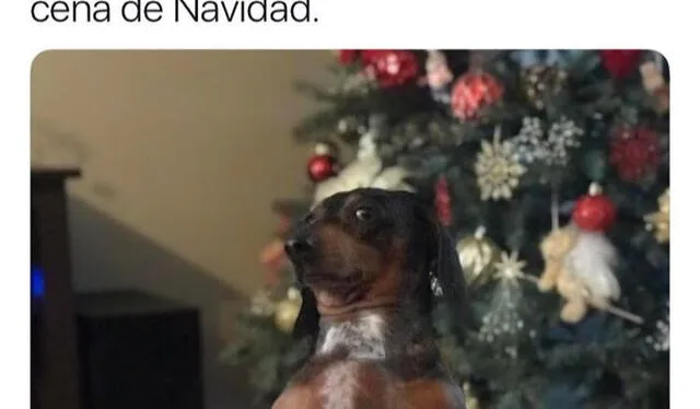 Los memes más divertidos de la Navidad 2022. Foto: difusión