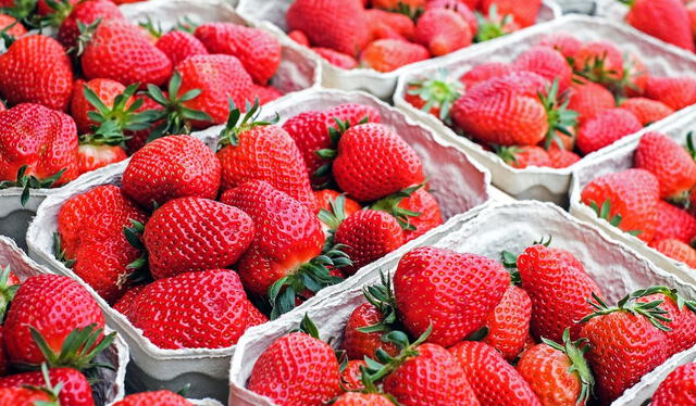  La fresa es uno de los alimentos más saludables, ya que contiene vitaminas, antioxidantes, potasio y calcio. Foto: Pexels   