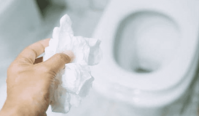 ¿Por que los peruanos no podemos botar el papel higiénico en el inodoro? Foto: Purity techex