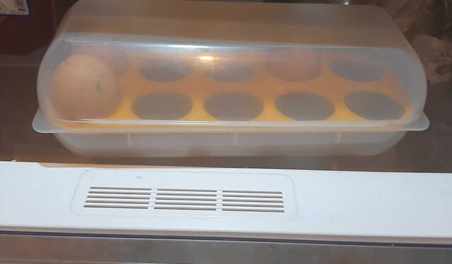 Puedes usar un empaque cerrado para guardar huevos en la refrigeradora, pero en otro compartimiento que no sea la puerta. Foto: GLR