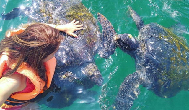  En las playas del norte peruano se desarrollan muchas actividades turísticas vinculadas a la fauna marina. Foto: Perú viajes    