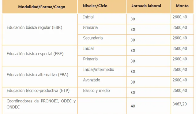 Clasificación de la remuneración menusal que reciben los docentes contratados. Foto: captura de portal Minedu   