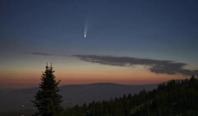  Cometa NEOWISE fotografiado desde California, en 2020. Foto: Bill Dunford   