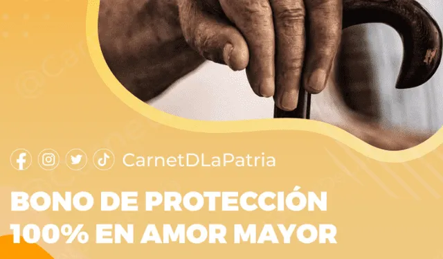  ¿Cuánto recibirán los beneficiarios de amor mayor? Foto: Patria   