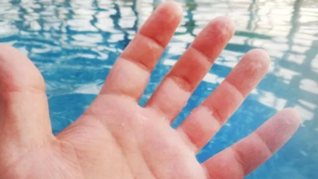  La razón biológica por la que tus dedos se arrugan con el agua. Foto: AFP    
