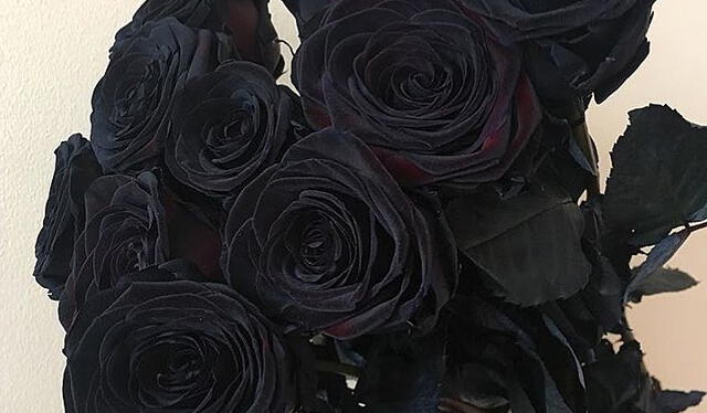  Ramo de rosas completamente negras. Foto: @LaBFlower_Penza/Instagram   