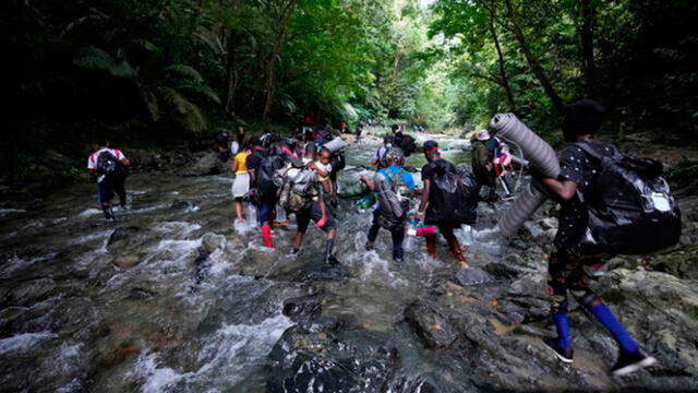  La selva del Tapón del Darién es una de las más peligrosas y muchas personas cruzan para llegar a Centroamérica. Foto: Infobae   