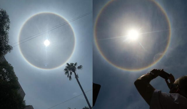 Los halos solares suelen causar mucha curiosidad entre las personas. Foto: composición La República/Twitter/difusión   