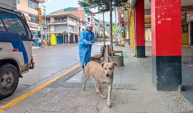  Usuarios en redes exigen saber acerca del estado de salud de los animales. Foto: Municipalidad Provincial de Huaraz   