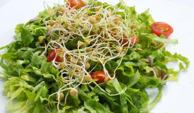 La ensalada de germinado de alfalfa es un plato liviano, pero nutritivo. Foto: cocina y comparte/referencial 
