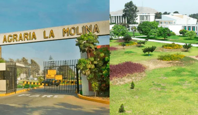 La UNALM empezó como la Escuela Nacional de Agricultura y Veterinaria. Composición LR/ Universidad Nacional Agraria La Molina.   