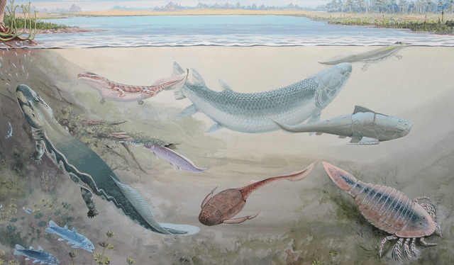  Representación artística del Hyneria udlezinye y otras especies que habitaban los ríos hace 360 millones de años. Imagen: Gess &amp; Ahlberg    