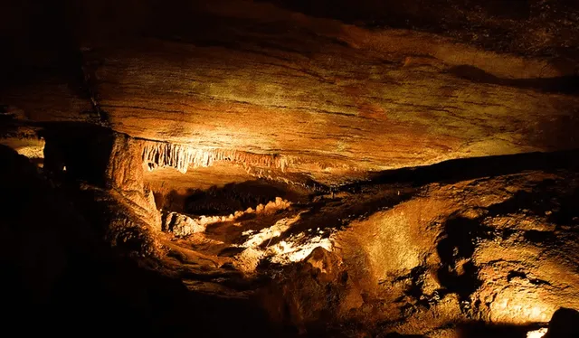  Detalles de las cuevas de Craighead Caverns. Foto: Jay Williams/Flickr    