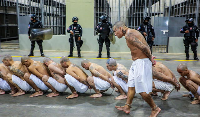 Los encarcelados pertenecen a la pandilla de la Mara Salvatrucha (MS-13) y Barrio 18. Foto: AFP   
