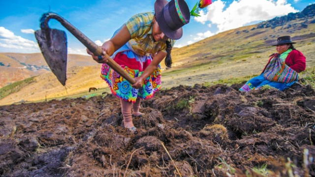  Consulta si eres beneficiario del bono en las páginas oficiales del Midagri. Foto: Midagri    