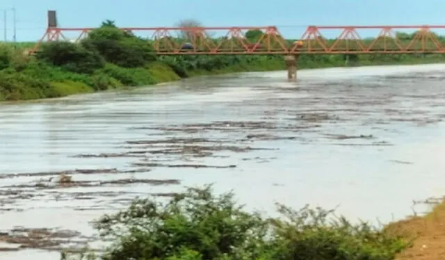  El COER Tumbes recomendó no construir viviendas en la ribera de ríos, quebradas o zonas que se hayan inundado anteriormente. Foto: Andina   