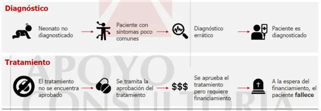  Infografía sobre Enfermedades raras. Elaboración: Apoyo Consultoría / Los pacientes importan / Cortesía   